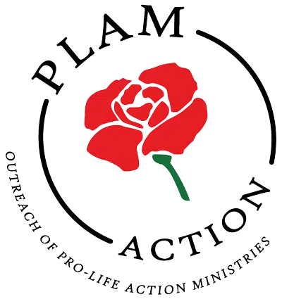 PLAM Action - Outreach